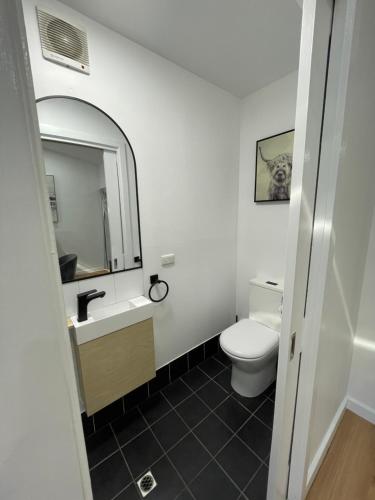 a bathroom with a toilet and a sink and a mirror at Spa Retreat Glenelg East in Glenelg
