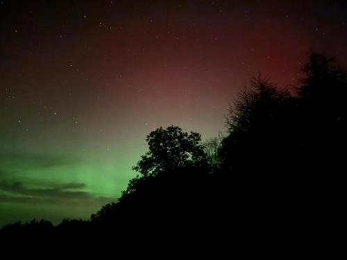 an aurora in the sky with a tree in the foreground at The Hidden Shepherds Hut- Off Grid Retreat in Castle Douglas