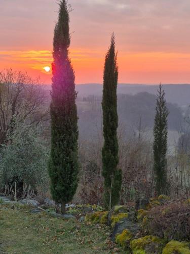 a sunset with two cypress trees in a field at Landhaus zum Caphenstain in Gutendorf