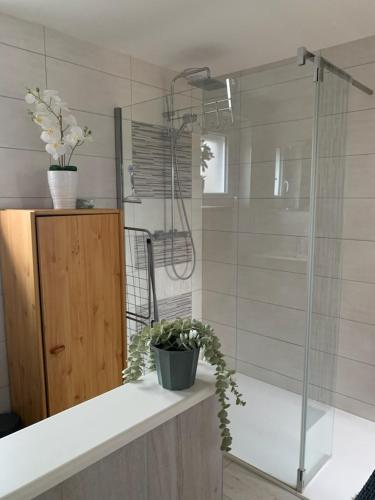 La salle de bains est pourvue d'une douche avec une plante en pot sur un comptoir. dans l'établissement La maison du lavoir, à Fain-lès-Montbard