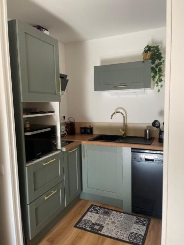 une cuisine avec des armoires vertes et un évier dans l'établissement Coquet appartement, à Ussat