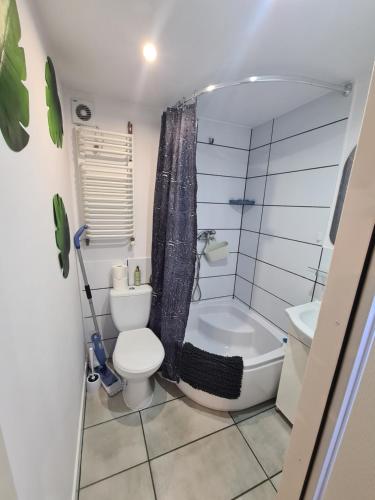 un piccolo bagno con un water e un lavandino di Lawendowy zakątek a Polanica-Zdrój