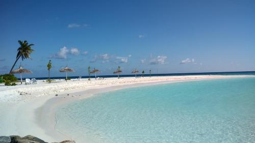 a beach with chairs and umbrellas and the ocean at Madi Grand Maldives in Fulidhoo