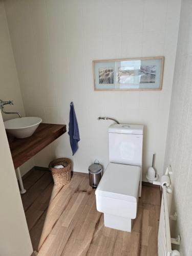 a bathroom with a toilet and a sink at Lemmer House - Luxe familiehuis aan het water in Lemmer