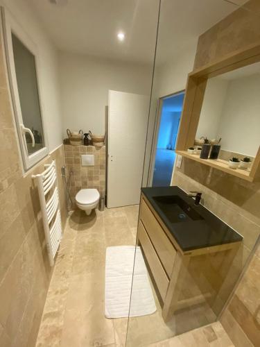 une salle de bain avec un lavabo et des toilettes dans l'établissement La Maison Myssa, à Apt