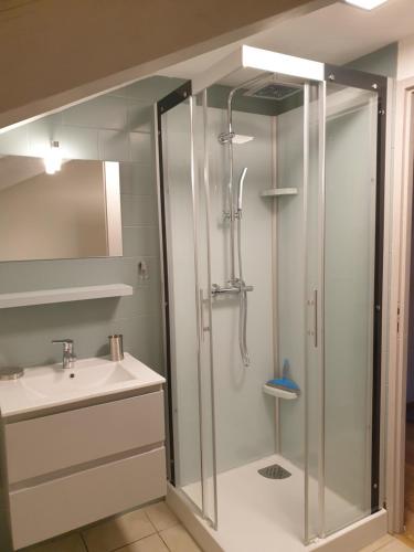 une salle de bain avec douche et lavabo dans l'établissement la maison de noemia à Gerardmer, à Gérardmer