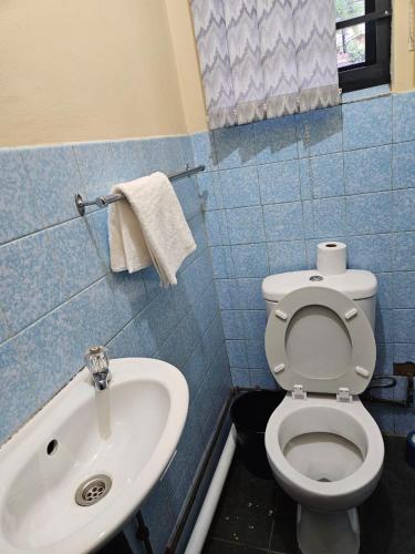 a bathroom with a toilet and a sink at Tettey Happy Home in Durban