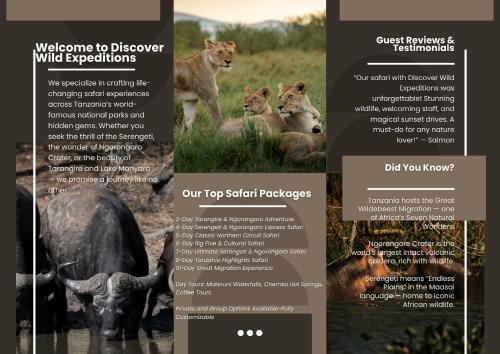 a website design for a wildlife safari website at Simba Villa in Arusha