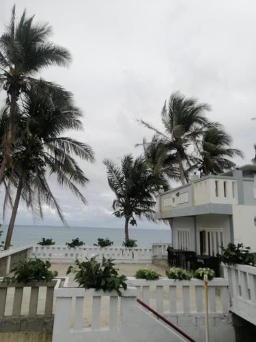 a house on the beach with palm trees and the ocean at Casa Vacanza Talaonga Ocean View Resort -Viajeros Booking Services in Sorsogon