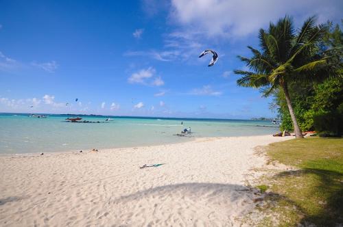 a beach with a palm tree and people flying a kite at Bungalow Moe Moe Moea by ENJOY VILLAS in Motu Tiahura