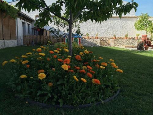 Κήπος έξω από το Casa Los Aperos