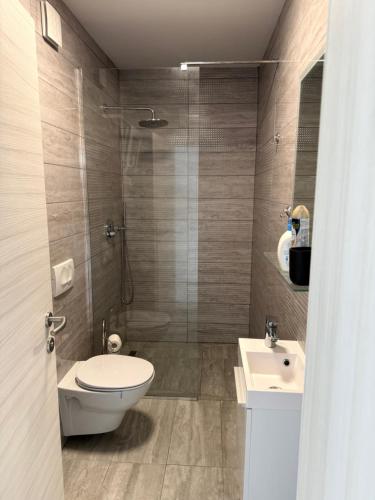 a bathroom with a toilet and a sink at MERTIK house in Omišalj