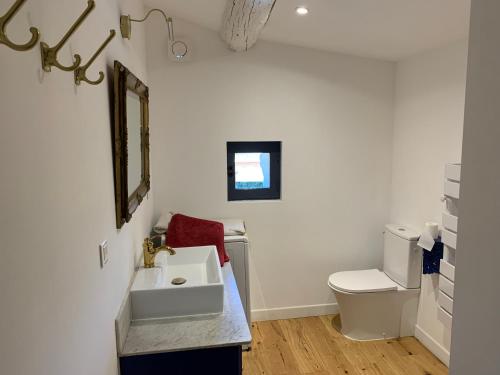 une salle de bain blanche avec un lavabo et des toilettes dans l'établissement Gite Sud Luberon, à Grambois