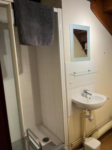 une salle de bain avec un lavabo et une douche dans l'établissement Périgourdine avec piscine, nature & bastides, à Faux