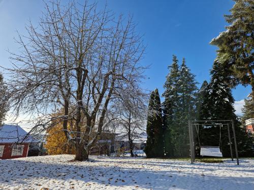 a soccer goal in a snowy field with trees at Löhgarten in Kleinmaischeid