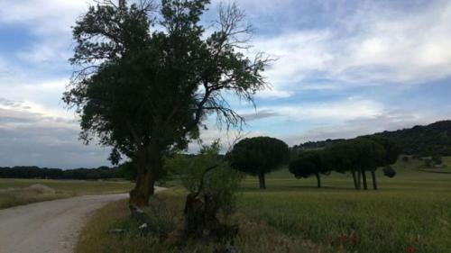 Φυσικό τοπίο κοντά σε αυτή η παραθεριστική κατοικία
