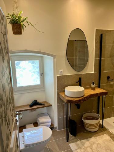a bathroom with a sink and a mirror at Le Charme du Perigord - chambre & table d'hotes in Saint-Sulpice-dʼExcideuil