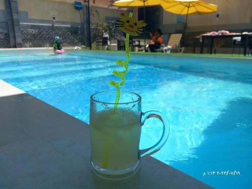 Firuza Farm Villa Vip内部或周边的泳池