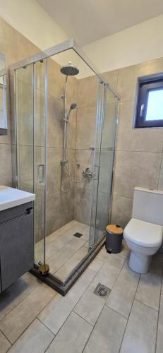 a bathroom with a shower and a toilet at Casa di Olive, all seasons accommodation in Goúdhouros