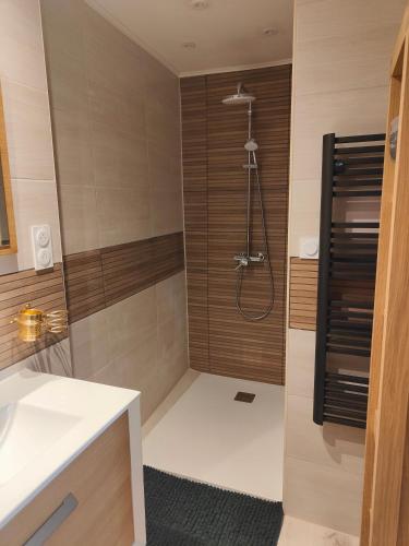 La salle de bains est pourvue d'une douche et d'un lavabo blanc. dans l'établissement appartement T2 cosy Vias, à Vias