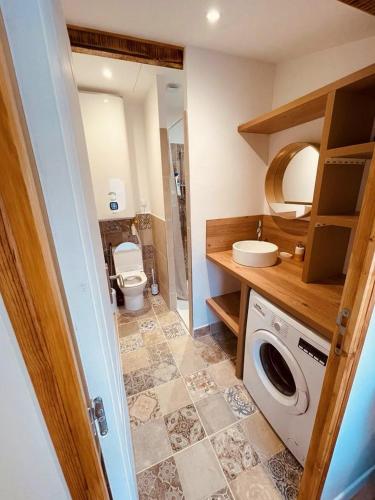 une salle de bain avec toilettes et lavabo et une machine à laver dans l'établissement Emeric & Julie Lou Pescalune classé 3 étoiles, à Lunel