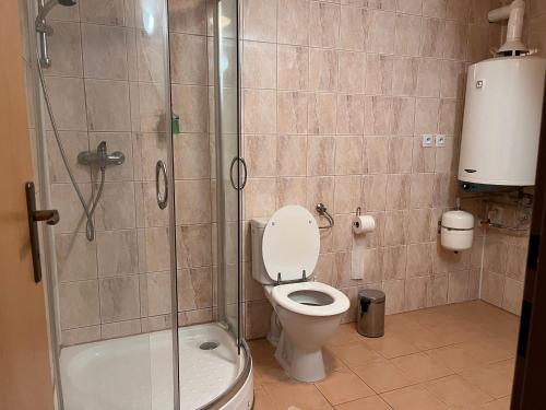 a bathroom with a toilet and a glass shower at Sklípek u Šťavíků Za Valama in Čejkovice