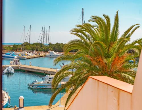 a palm tree next to a marina with boats at Appartamento direttamente sul molo vista mare spiaggia 150 m in Porto Ottiolu