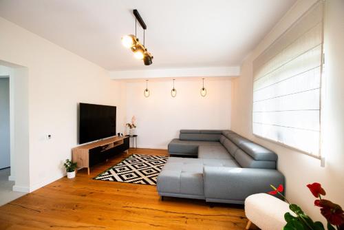 Μια τηλεόραση ή/και κέντρο ψυχαγωγίας στο Casa Soarelui Brașov
