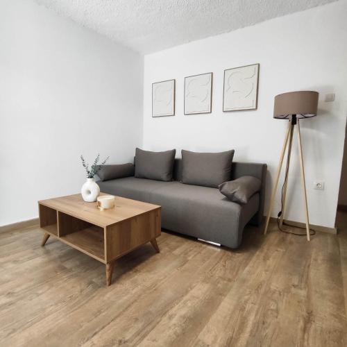 Zenith Apt #1