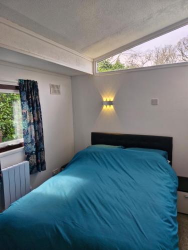 a bedroom with a blue bed and a window at 57 penlan holiday park in Cenarth