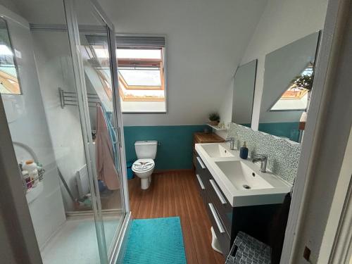 une salle de bain avec une douche, des toilettes et un lavabo dans l'établissement Maison proche du circuit des 24h du Mans, à Ruaudin