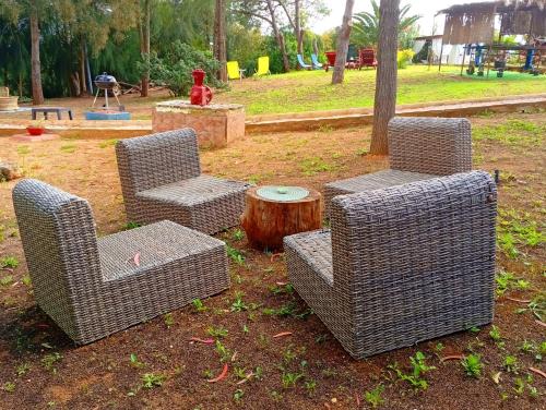 three wicker chairs and a stump in a park at Bohème Valdareina, Piscine chauffée, Bénagil-Carvoeiro in Carvoeiro