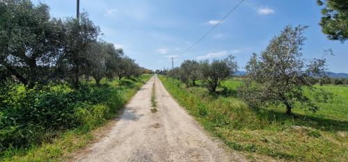 Gallery image of Respiro di Maremma in Marrucheto