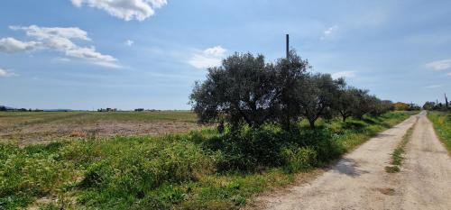 Gallery image of Respiro di Maremma in Marrucheto