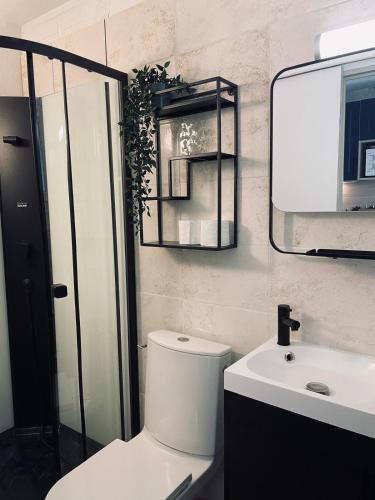 une salle de bain avec toilettes, lavabo et miroir dans l'établissement Maison 4 pers avec parking et plage à moins de 100 m, à Marseillan