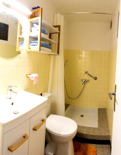 une salle de bain avec toilettes, lavabo et douche dans l'établissement appartement au porte du Trièves, à Monestier-de-Clermont