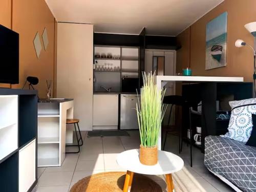 Una sala de estar con una mesa con una planta encima. en Appartement entier en centre-ville avec terrasse, en La Rochelle