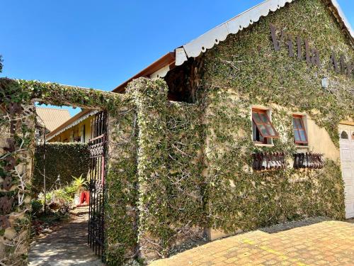 an ivy covered building with a fence and windows at Villa Afriq in Lydenburg
