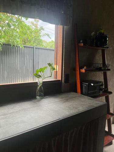 Kuchyň nebo kuchyňský kout v ubytování Casa Fénix