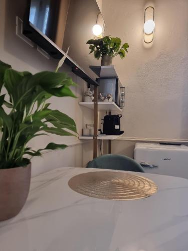 a table with a potted plant on top of it at Matteotti 54 Dimora Storica in Pavia