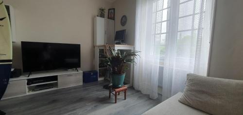 un salon avec une télévision à écran plat et une plante dans l'établissement Le long de la rivière, à Biriatou