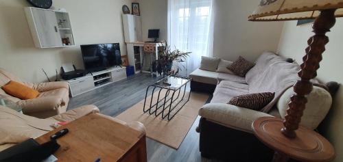 Le long de la rivière