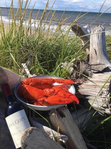 a bowl of food and a bottle of wine next to the beach at Chez Thomas, la maison du pêcheur in Grande Anse