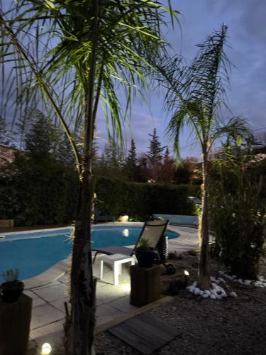 une piscine avec une chaise et des palmiers dans une cour dans l'établissement Le Mas Saint Jean les Mayons, à Les Mayons