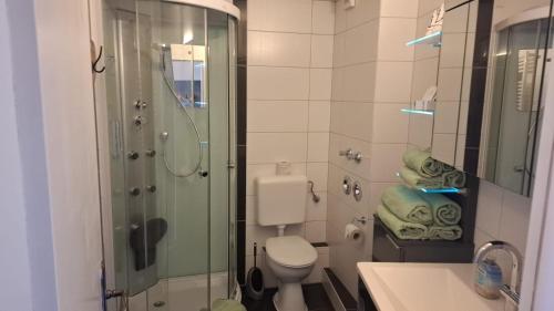 a bathroom with a shower and a toilet and a sink at Glücksburg Strandnah an der Förde 25 in Glücksburg