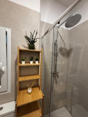 a bathroom with a shower with potted plants on a shelf at Apartamento Laredo con Terraza in Laredo