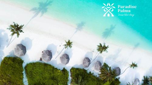 Paradise Palms - Guest House
