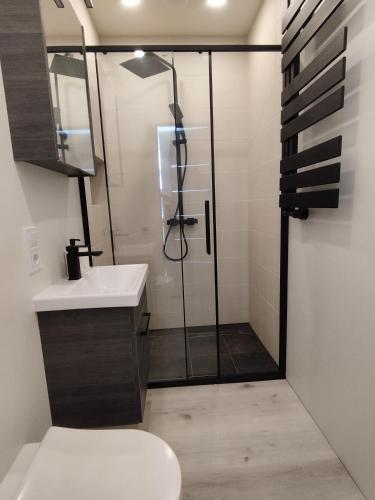 a bathroom with a shower with a toilet and a sink at Courtyard Condo Twin in Liepāja