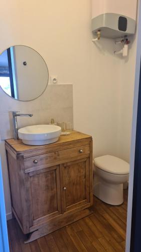 une salle de bain avec un lavabo, des toilettes et un miroir dans l'établissement La petite maison 1766, à Valence