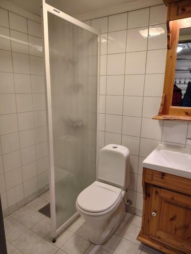 a bathroom with a toilet and a shower at Cozy apartment with pool in Bjorli